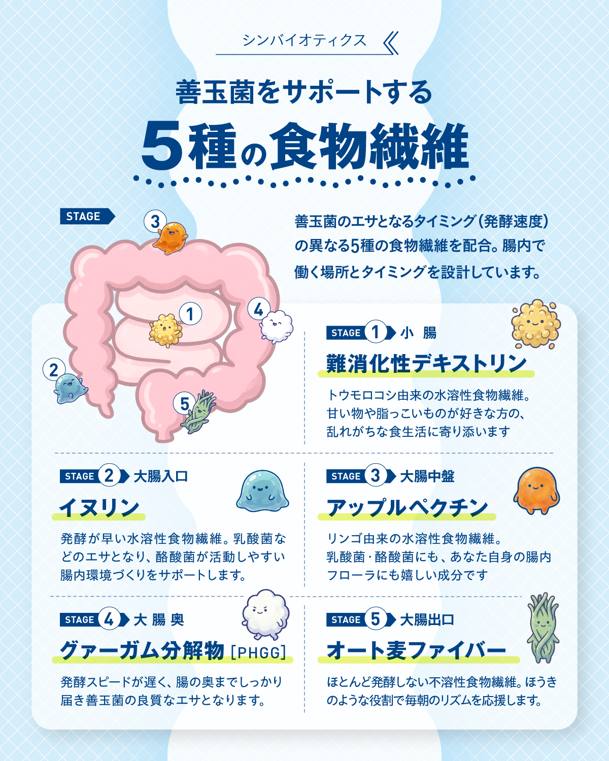 オールインワン腸活サプリ 腸活物語 1袋30日分(180g)